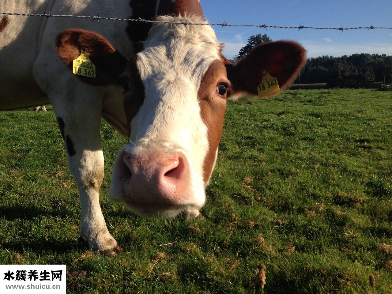 怎么形容東西好吃