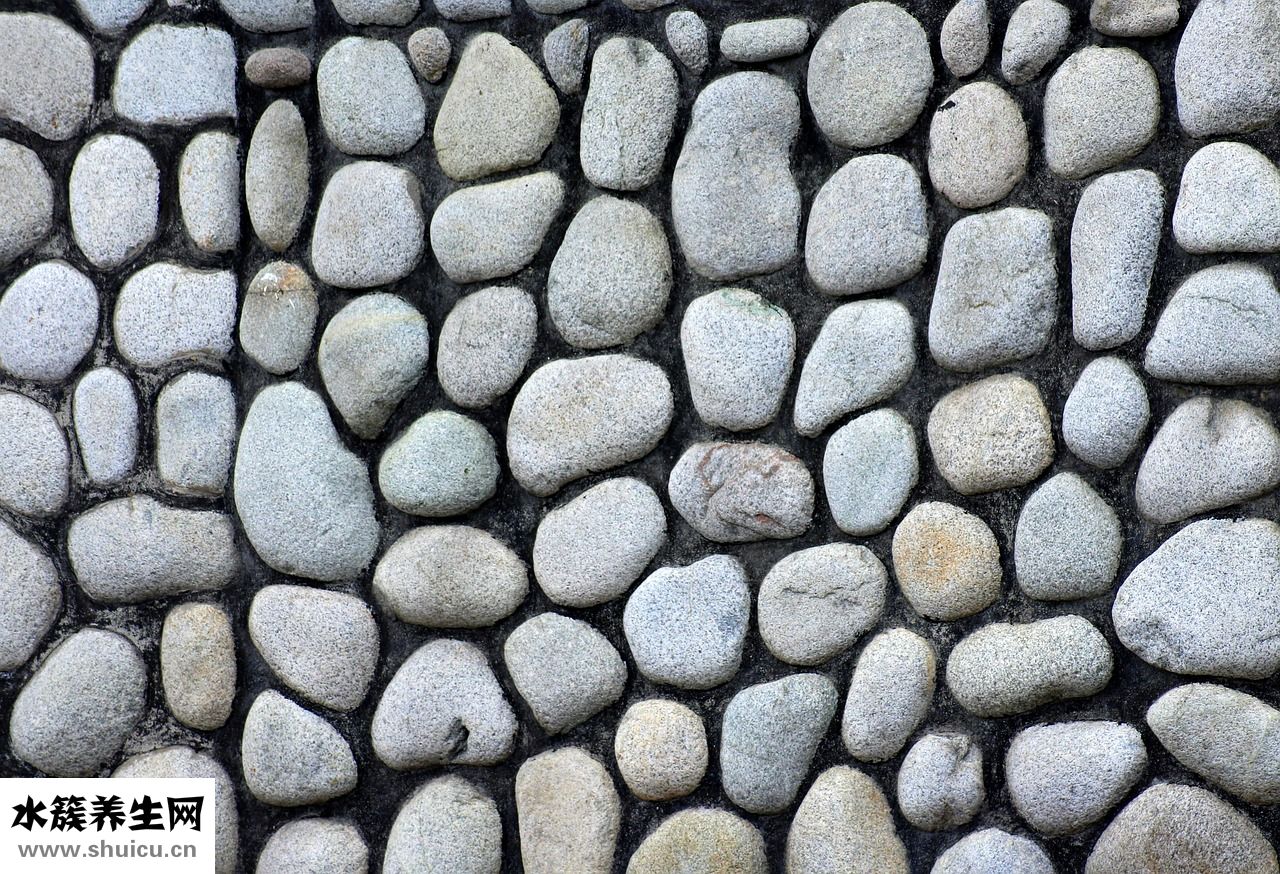 鼻甲氣化怎么治