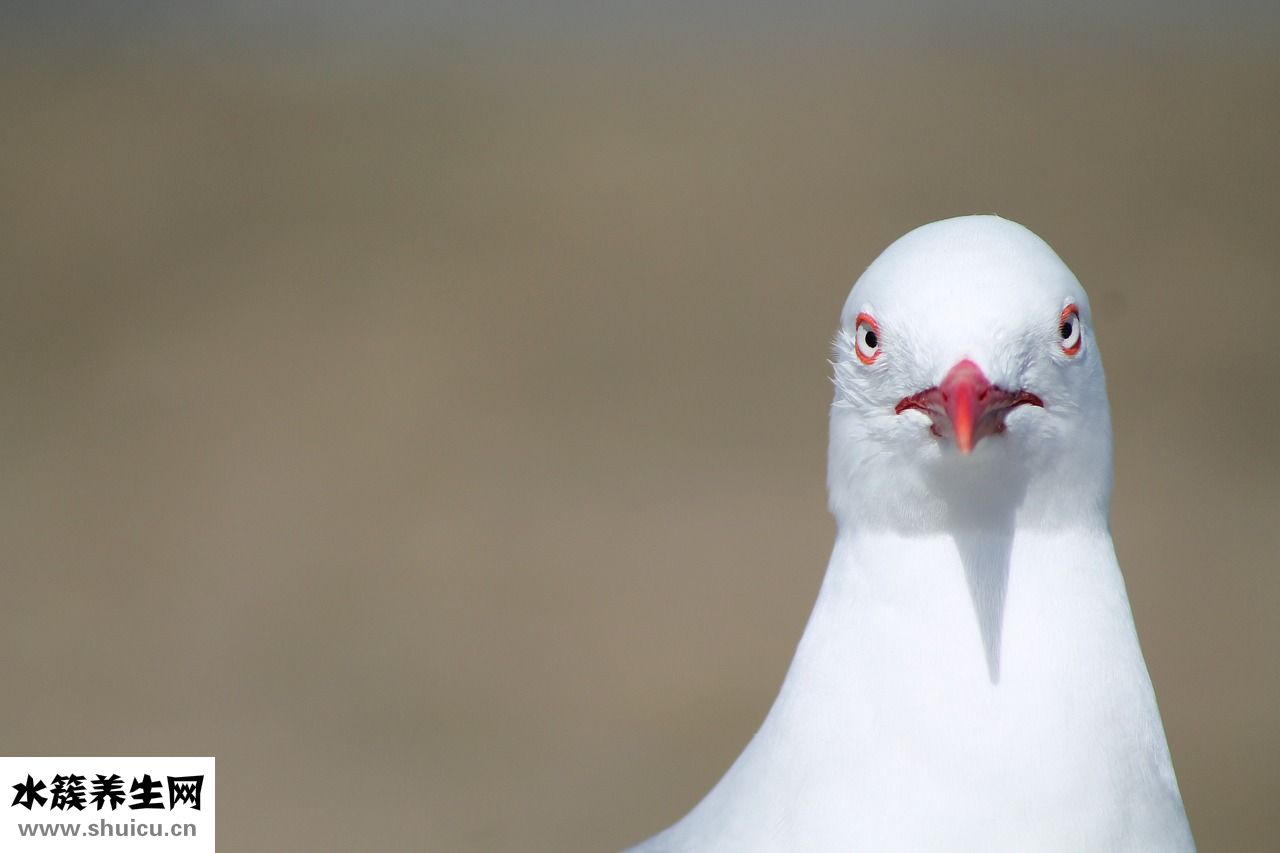 孕婦脾氣大怎么回事