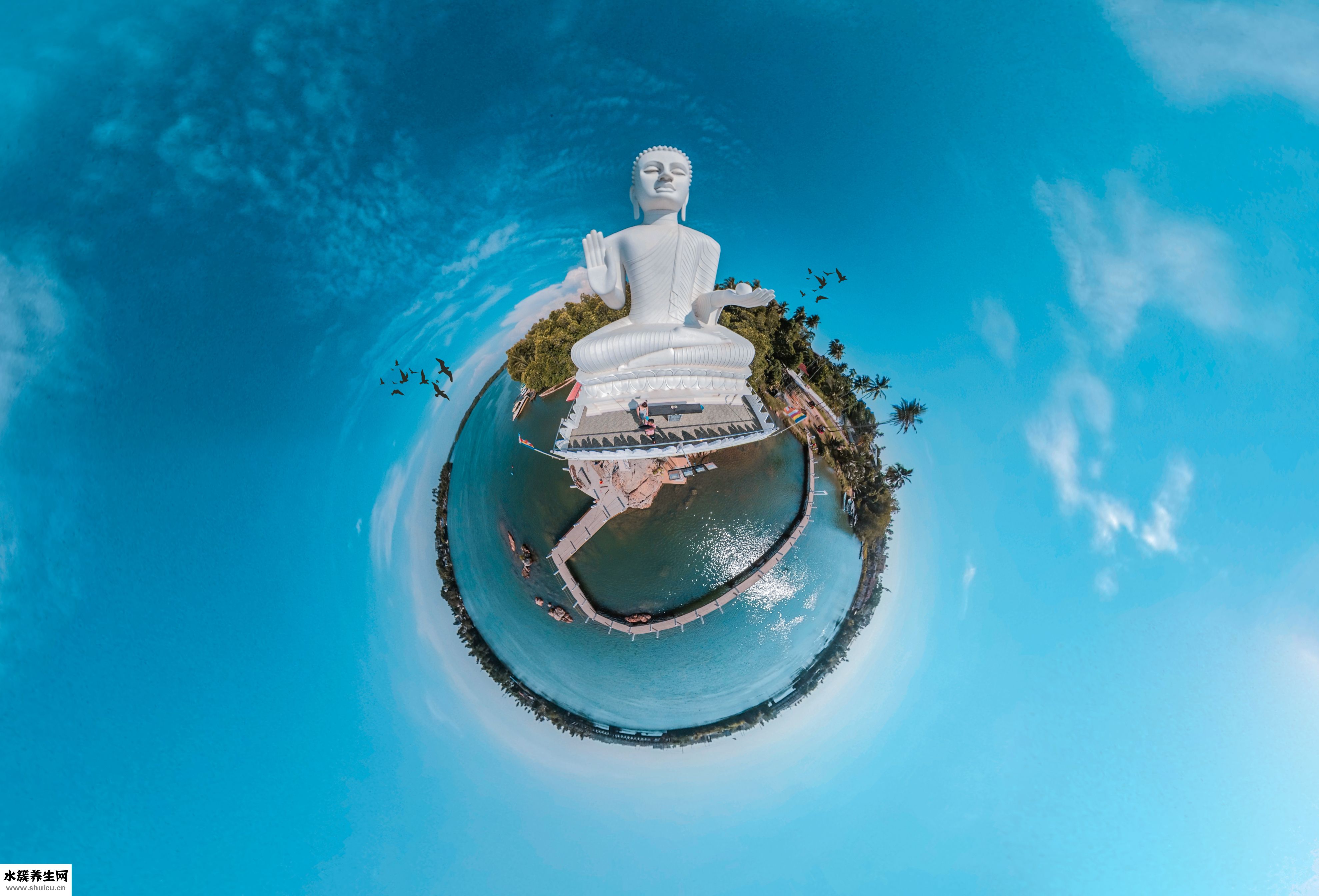 怎么自制假陰莖