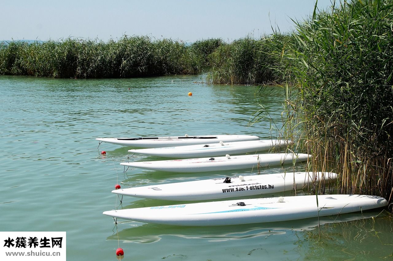 腿部經絡怎么推