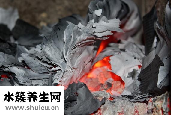 小鴨是怎么孵出來的