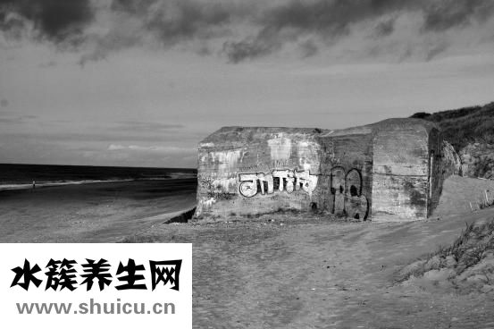 哈士奇生病怎么辦