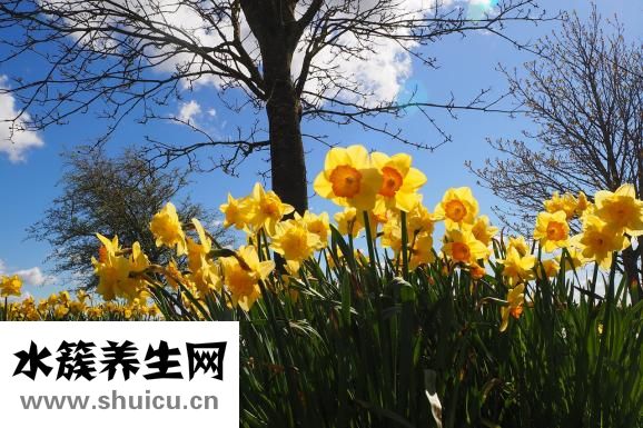 孩子拉黃水怎么辦