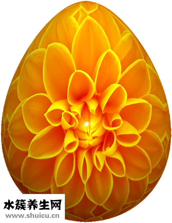 單反掛繩怎么栓