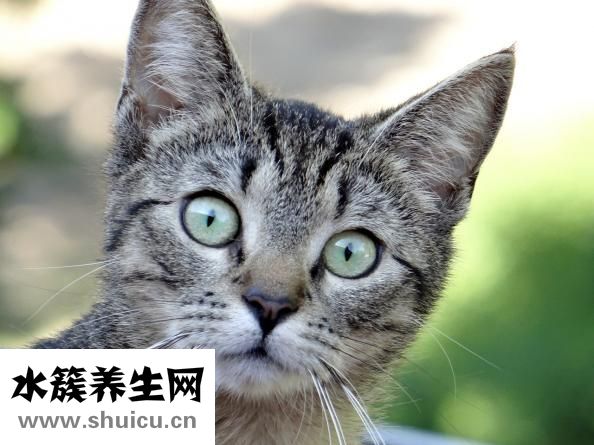 想擼的時(shí)候怎么辦