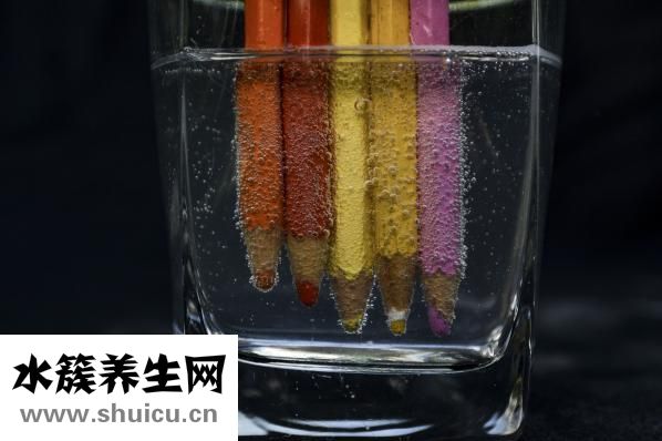 被臭蟲吸血了怎么辦