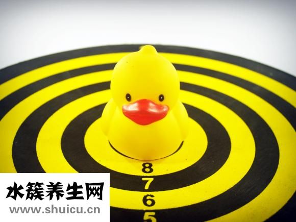 小鴨是怎么孵出來的