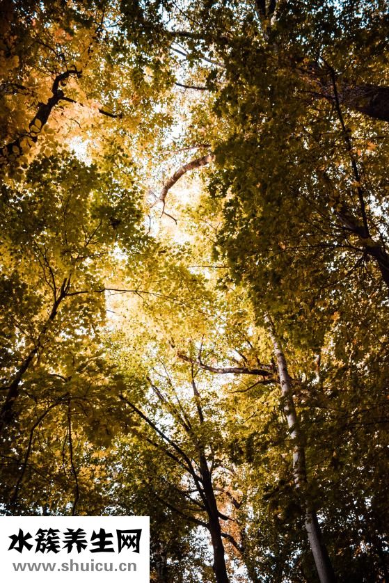 去海邊玩手機怎么辦