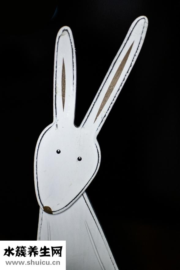 人人怎么發(fā)狀態(tài)