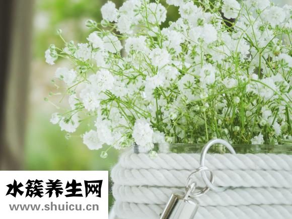 吃了鉤蟲豬肉怎么辦