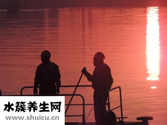 油紗變硬是怎么回事