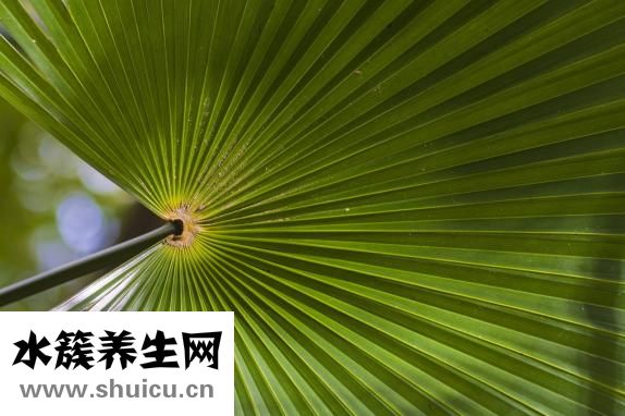 承認大便綠色怎么辦