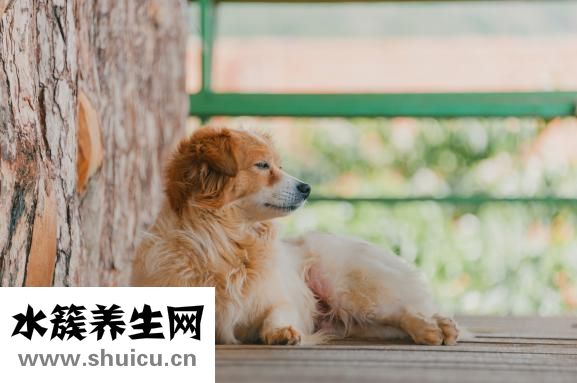 孩子嚴(yán)重便秘怎么辦