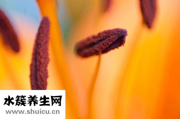 人中麻木怎么回事