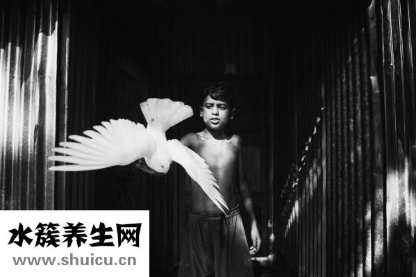 兩個月寶寶怎么哄睡