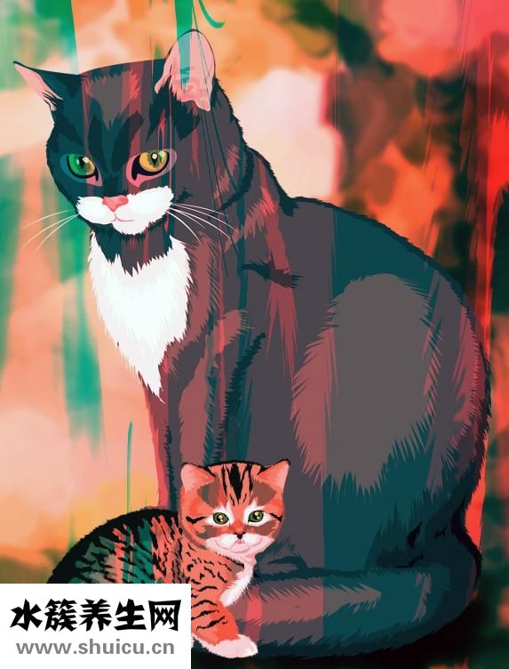 刨腹產(chǎn)腰疼怎么回事