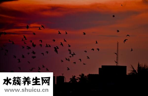 非常人脈加人怎么進