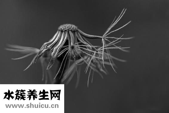 太極推手怎么練