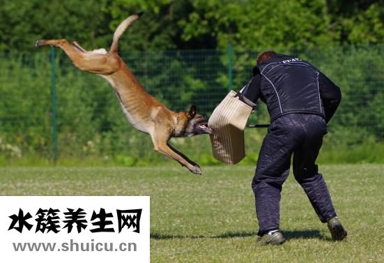 化療后骨頭痛怎么辦