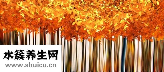 太極推手怎么練