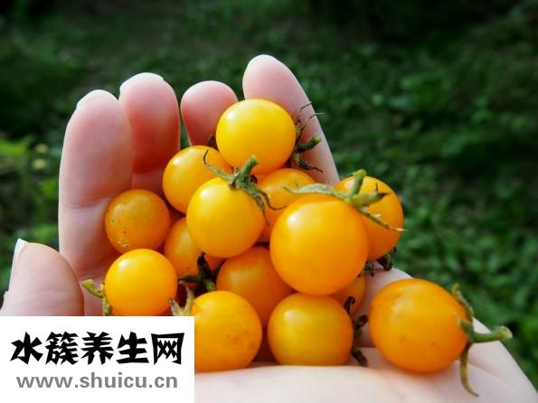 絲瓜粥怎么做好吃