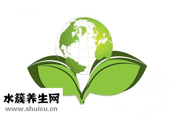 加標回收率怎么做