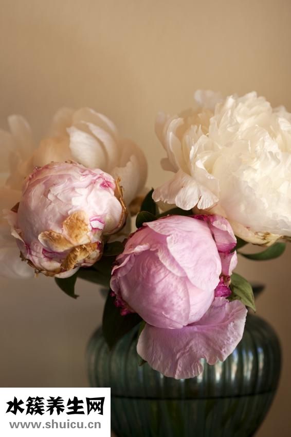 月經來時怎么睡覺