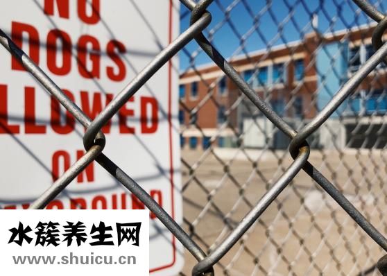 加標回收率怎么做