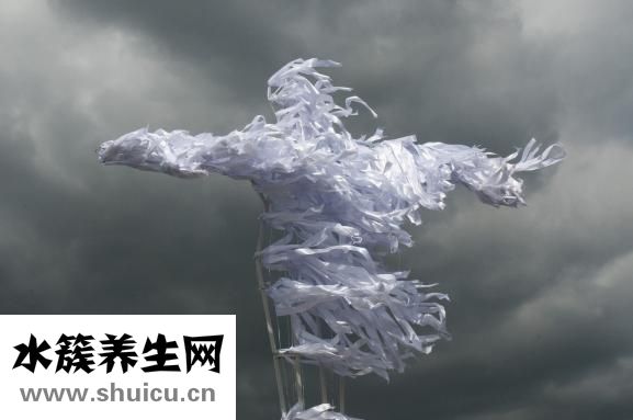 不愛懷孕怎么辦