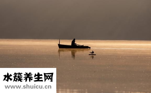 不愛懷孕怎么辦