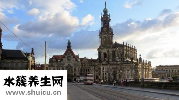 九龍蟲怎么浸酒喝