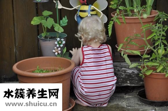 準生證怎么辦的