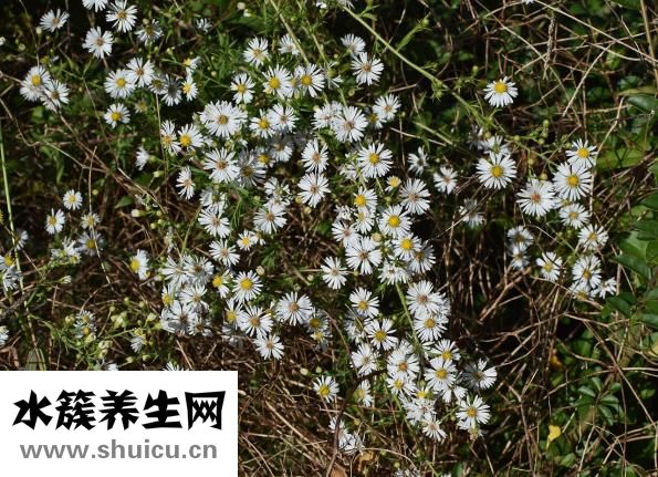 子宮內(nèi)膜充血怎么辦