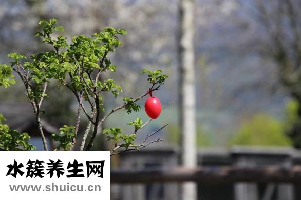 蝦和面條怎么做好吃