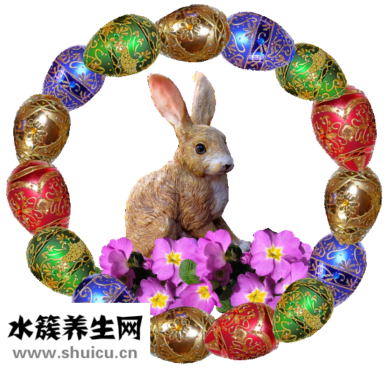 頭發(fā)油掉發(fā)怎么辦