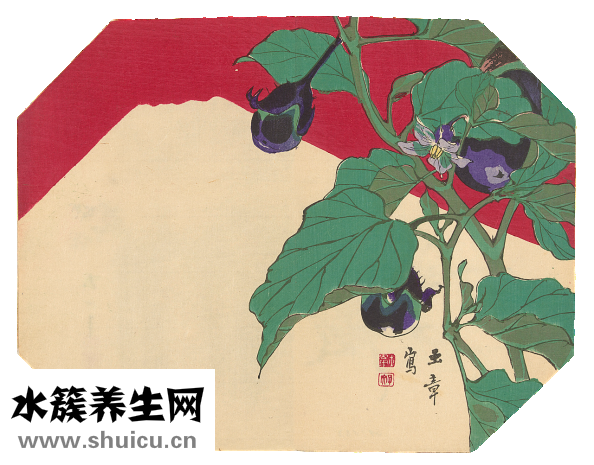 細長茄子怎么做