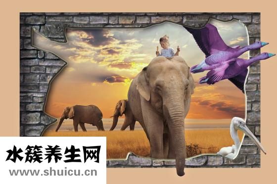 媽媽要找叔叔怎么辦