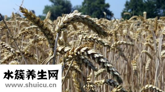 紅面怎么做好吃