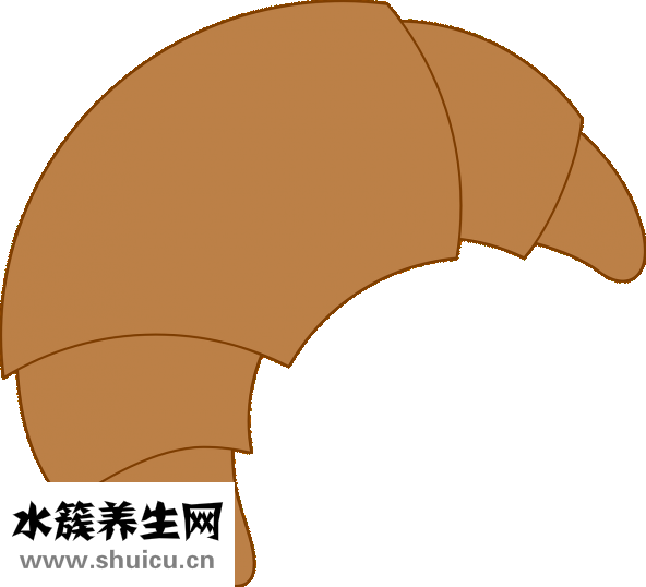 羊角斷了流血怎么辦