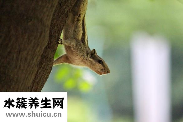 孕婦眼壓高怎么辦