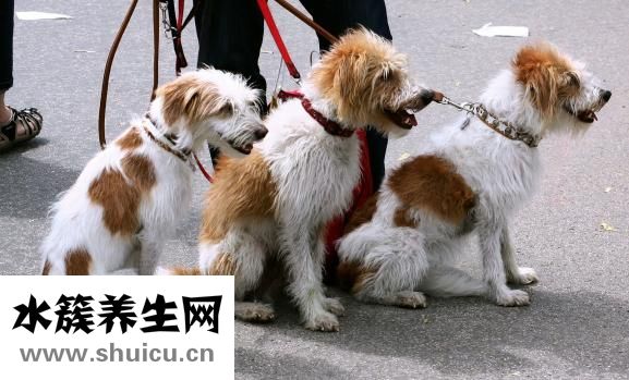 古代怎么治療癌癥