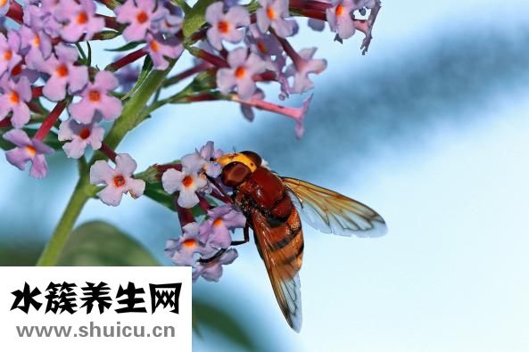 美瞳盒怎么消毒