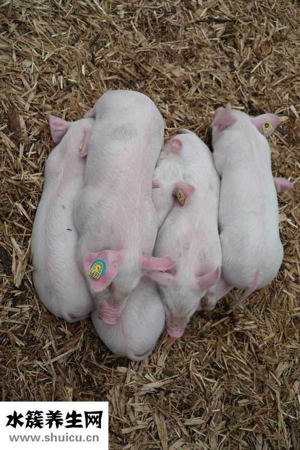 怎么拖地板不粘腳