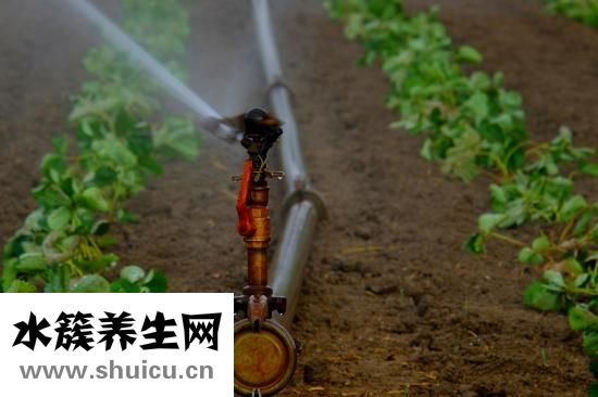 怎么調整跳繩長度