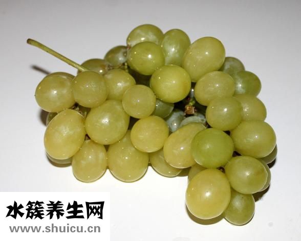 新鮮苦瓜怎么泡水喝