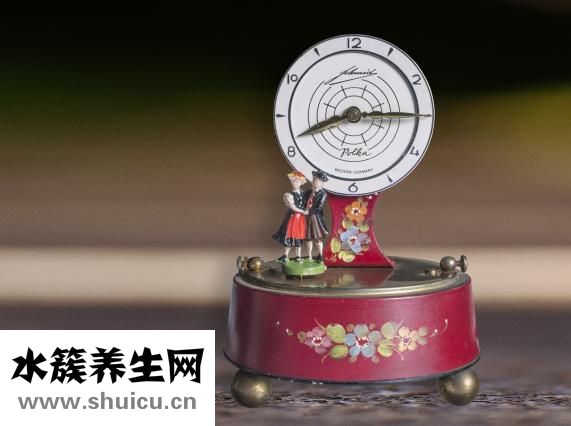 阿膠磨成粉怎么保存