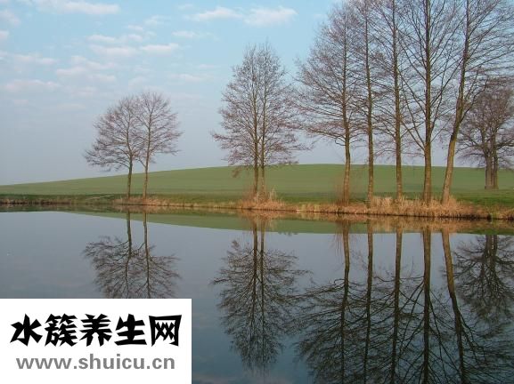 螃蟹怎么保存過(guò)夜