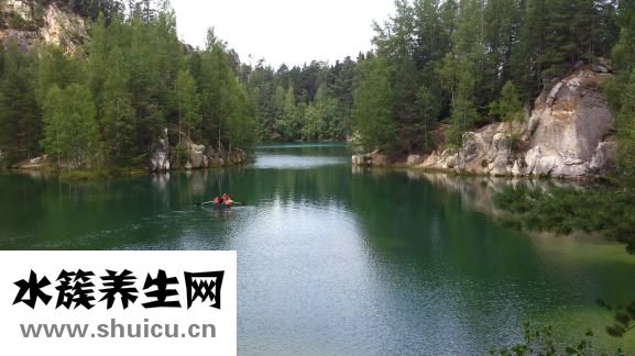 螃蟹怎么保存過(guò)夜