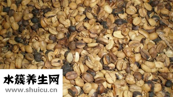 風濕性紫癜怎么治療